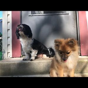 Meet your Posher, Gaby